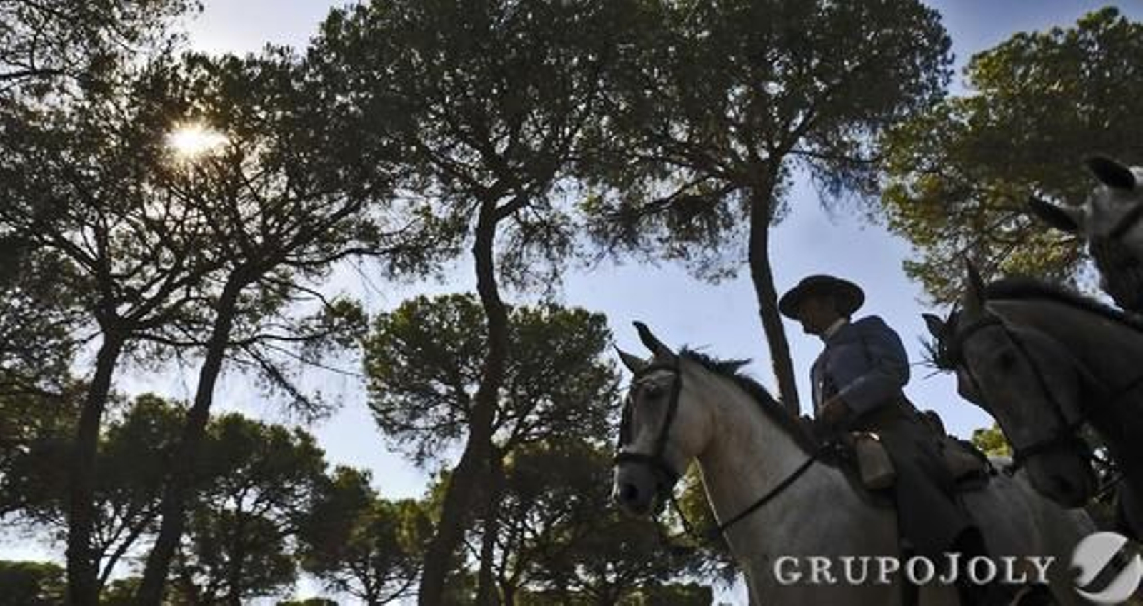 La Hermandad del Rocío de Triana a su paso por la Raya Real antes de llegar a la aldea almonteña.

Foto: Juan Carlos Vázquez