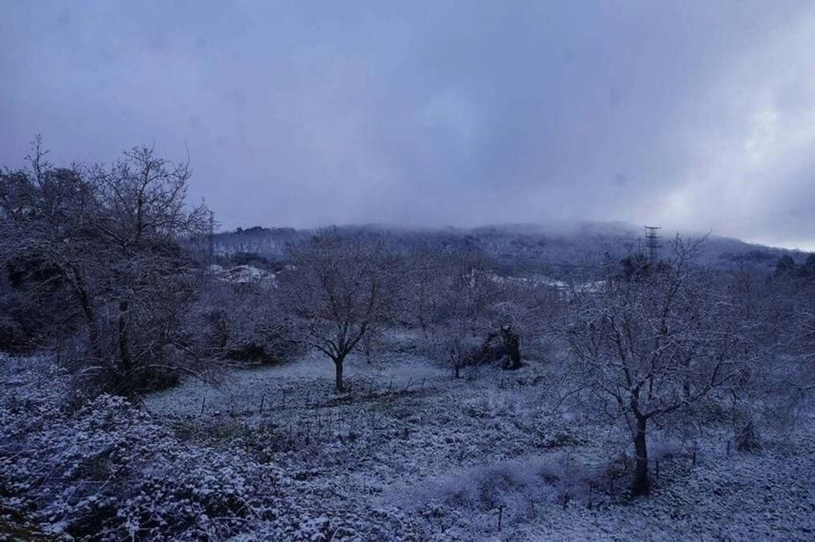 Así de nevada despertaba la Sierra de Aracena con el paso de la borrasca 'Filomena'