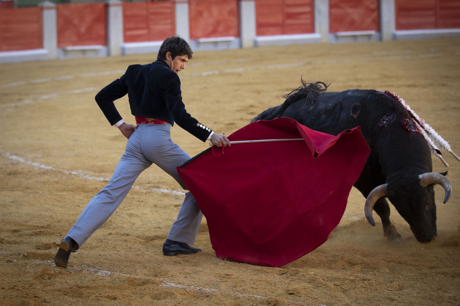 Las mejores imágenes del Festival Taurino en beneficio de Granadadown
