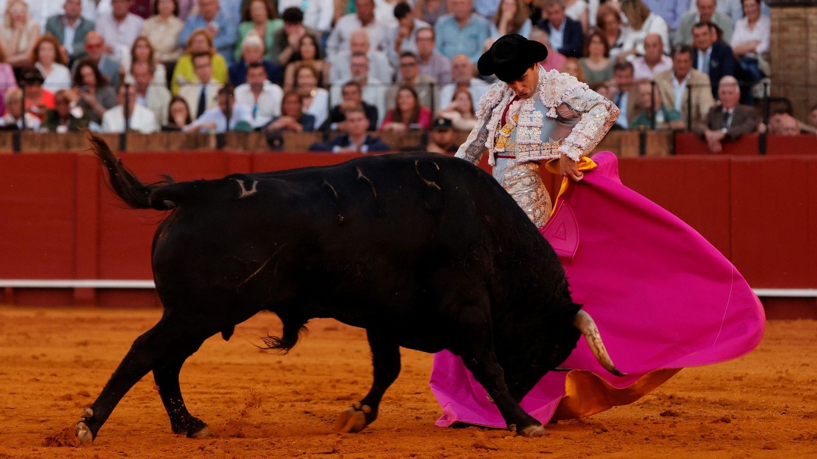 Chicuelina alada de Juan Ortega al cinqueño ‘Avivado’, un toro que llegó muy desfondado a la muleta. Chicuelina alada de Juan Ortega al cinqueño ‘Avivado’, un toro que llegó muy desfondado a la muleta.