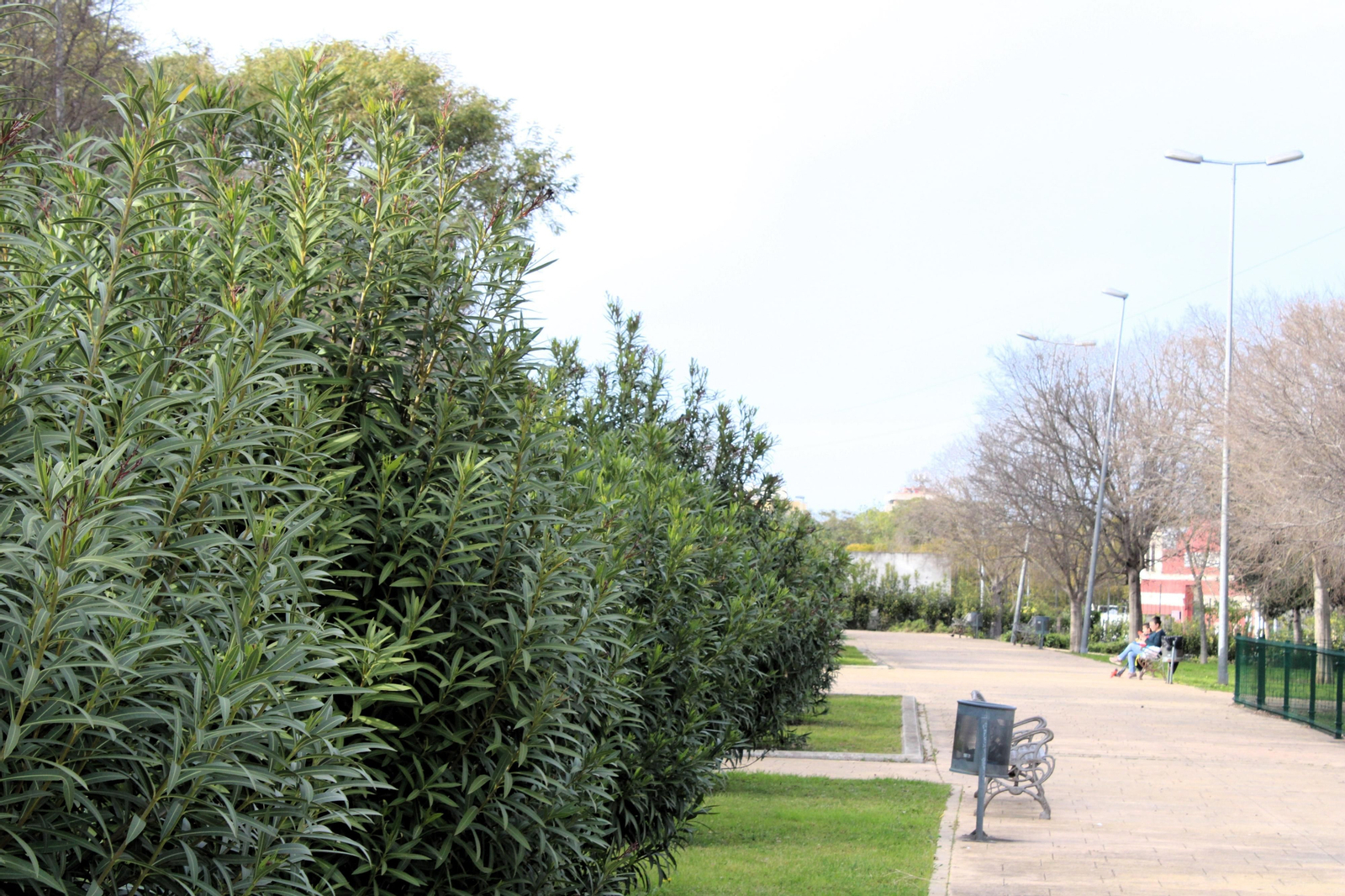 Parque de Vallesequillo