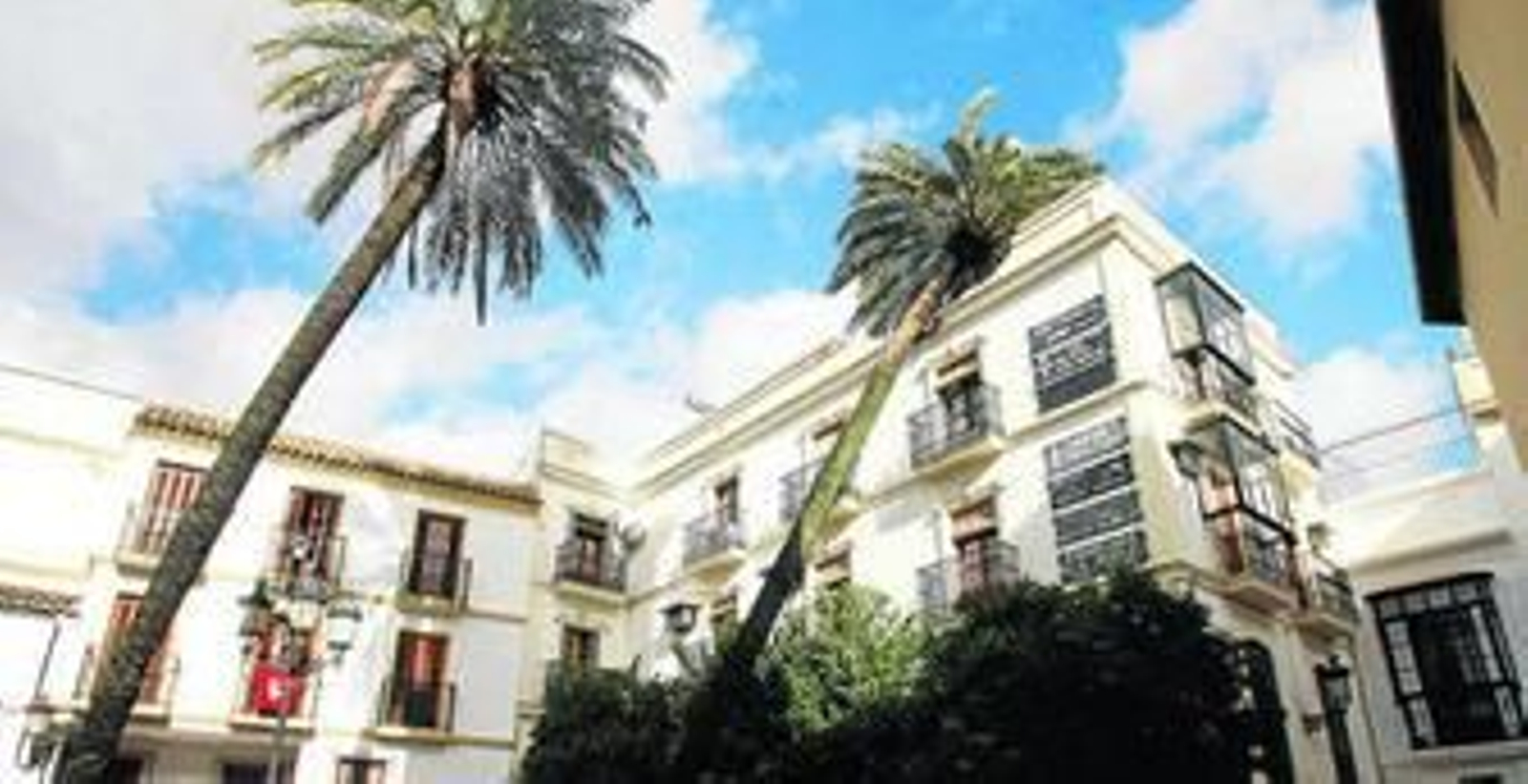 La caída de la palmera provocó desperfectos en la cornisa del edificio.