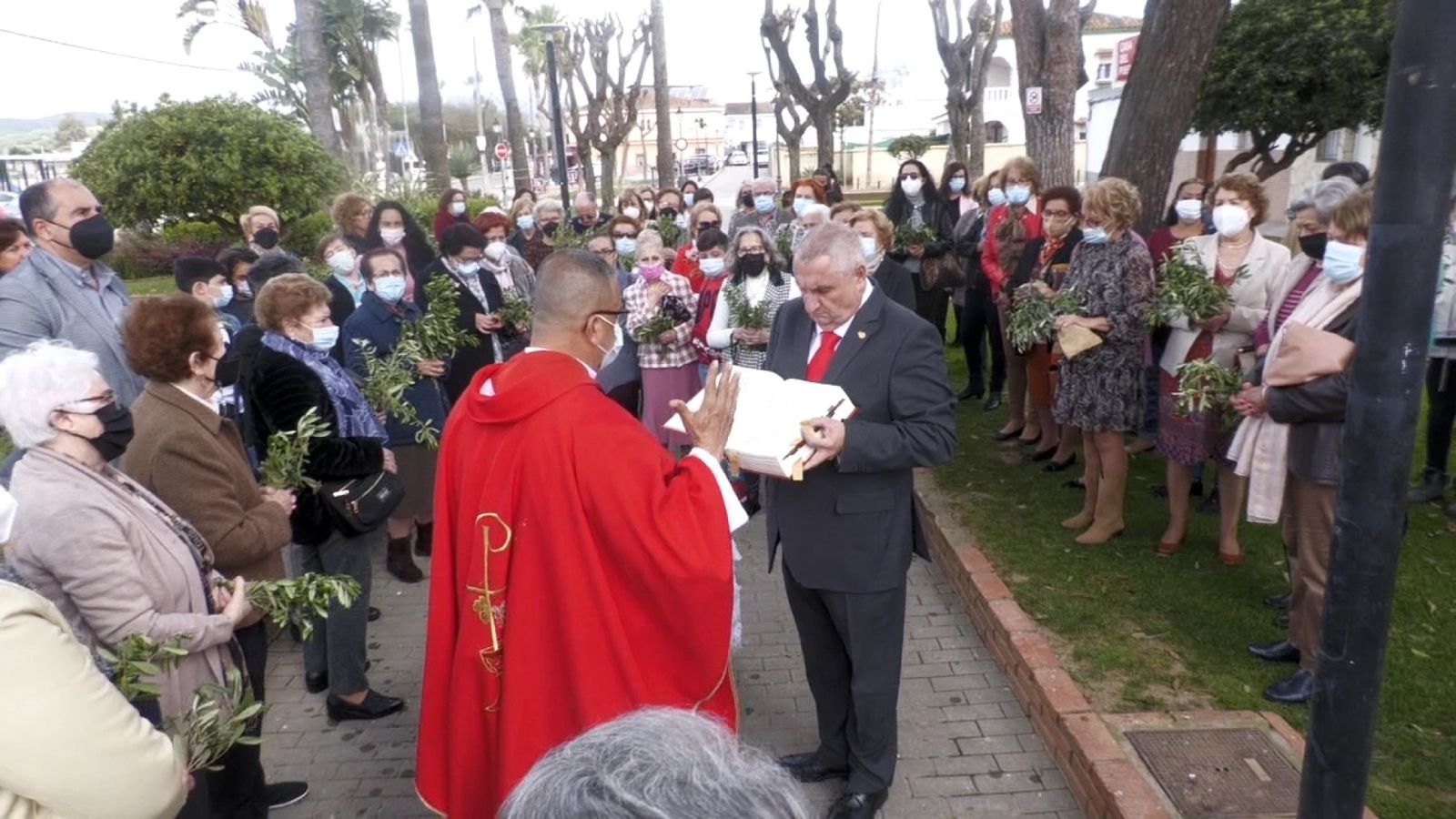 Las fotos del domingo de palmas y olivos en San Roque