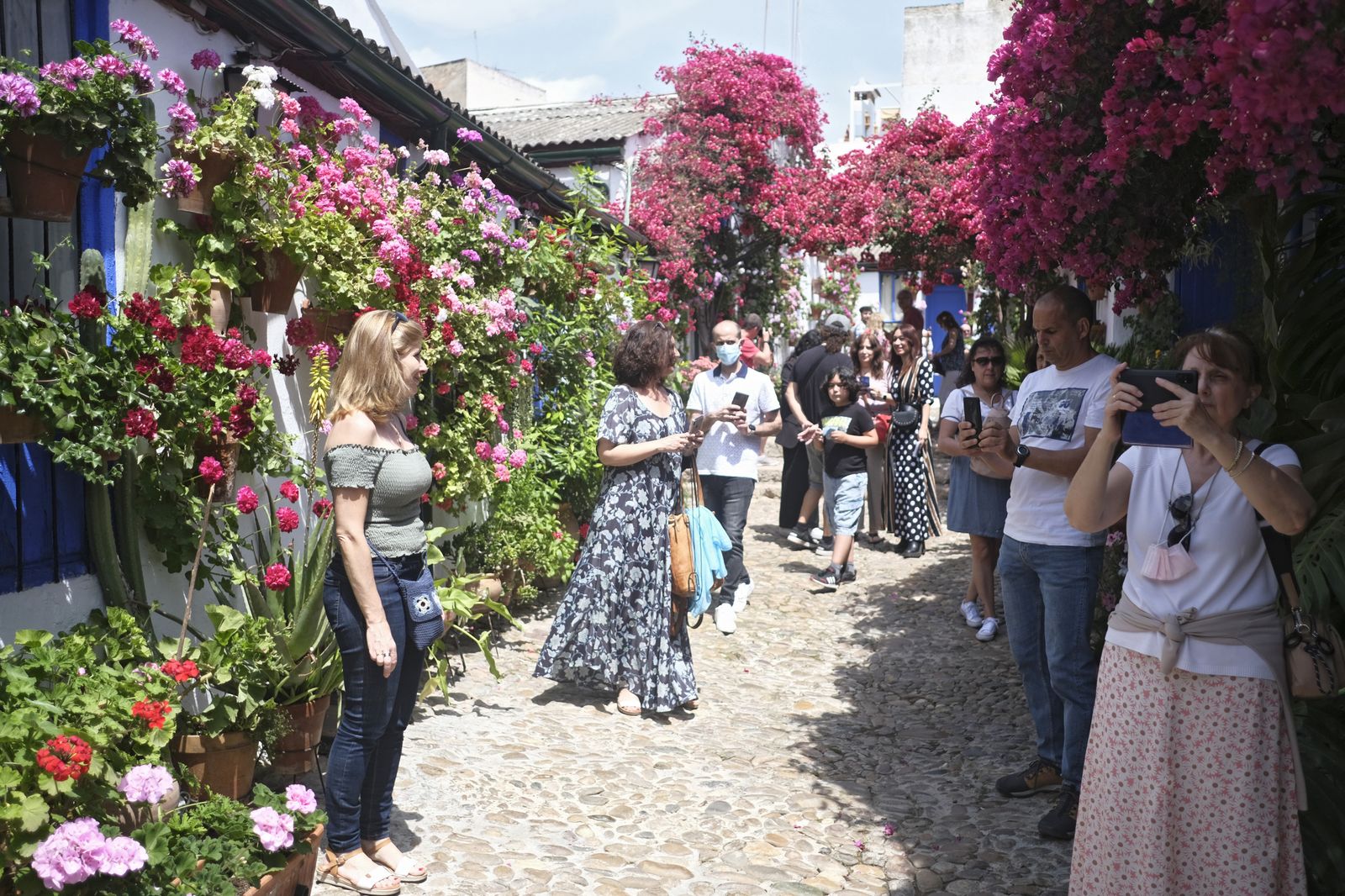 El último día del Festival de los Patios de Córdoba 2022, en imágenes