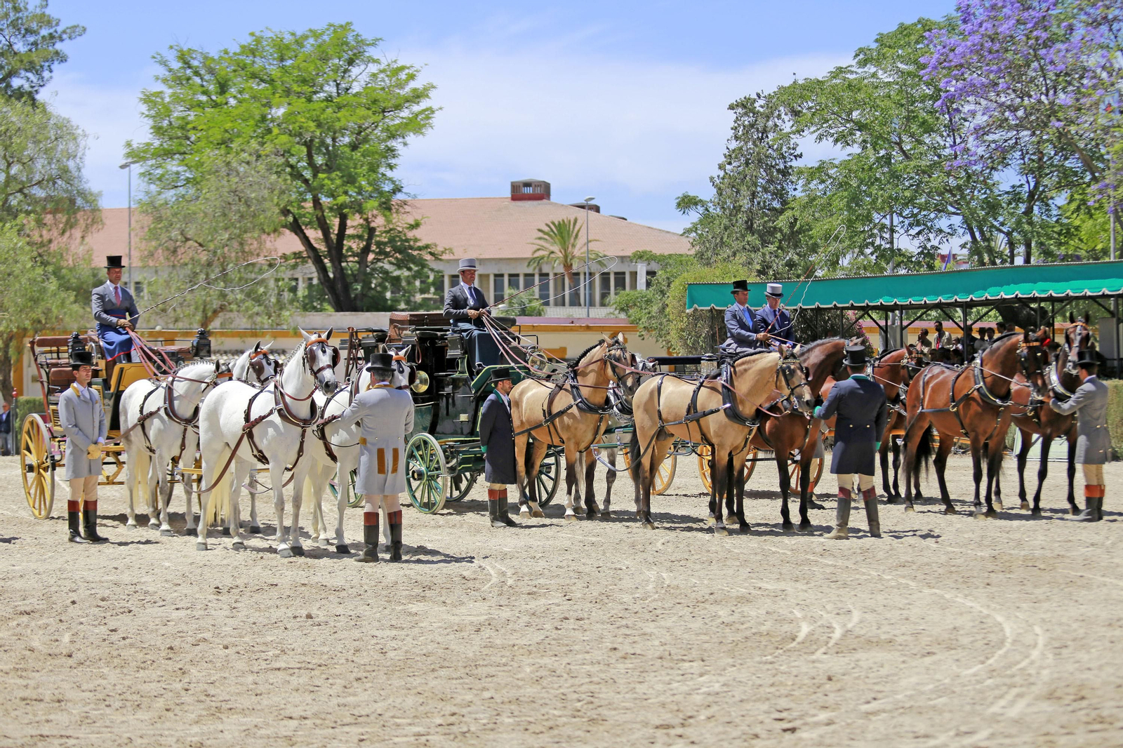 Trofeos de los concursos de Enganches y Morfológicos en la Feria de Jerez