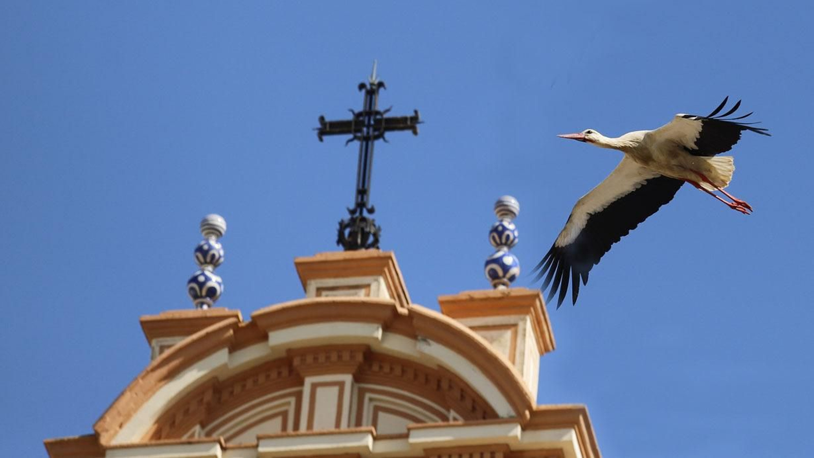 Las imágenes más destacadas del lunes 19 de abril en Huelva