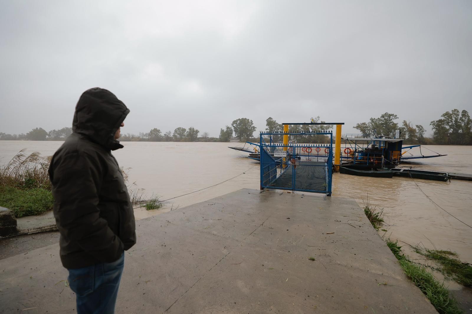 La barca de Coria del Río, que da servicio Transfluvial, en el río.