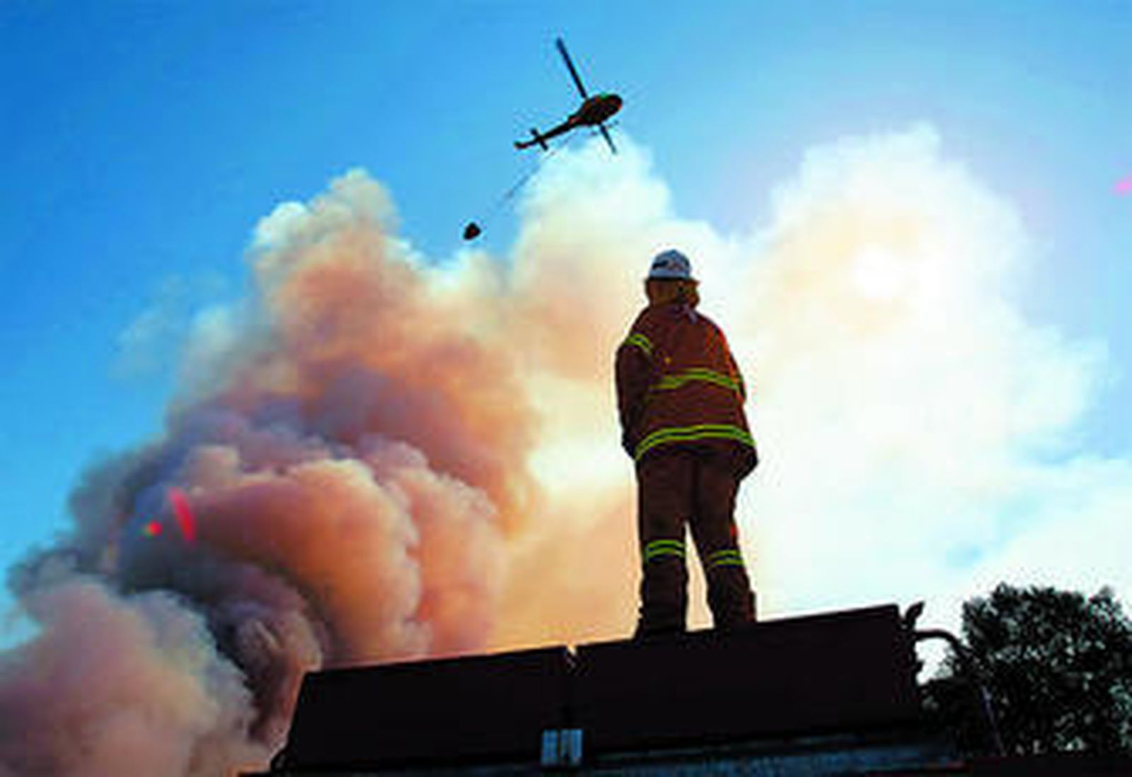 'El Rey de Algeciras', en La Línea