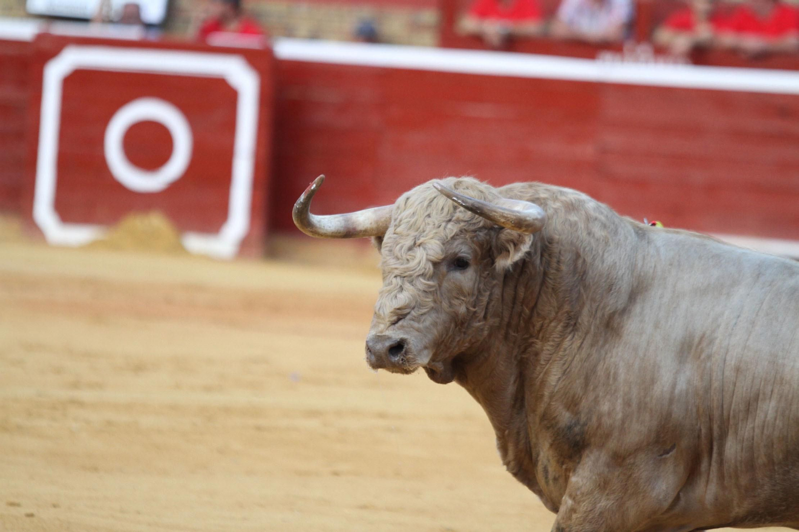 Imágenes de la faena de Miguel Angel Perera en el coso Onubense.