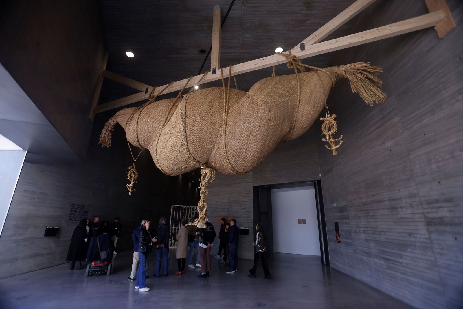 Las imágenes de las nuevas exposiciones del C3A