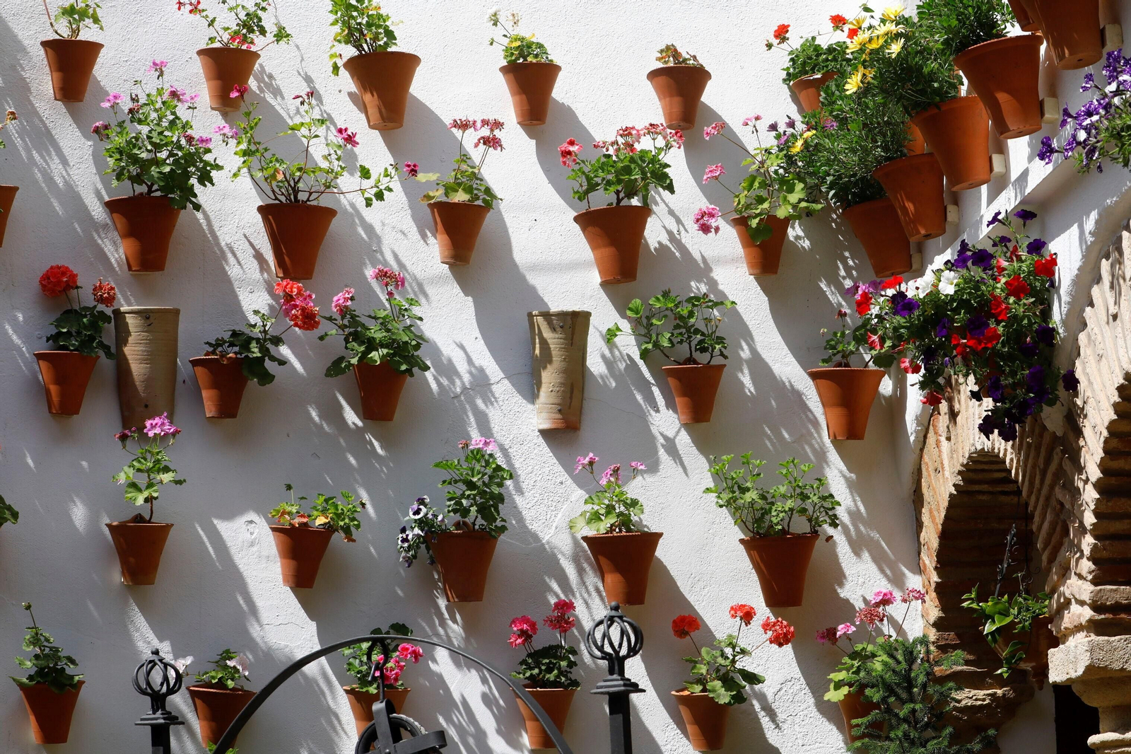Los patios de Córdoba de la ruta Judería-San Francisco, en imágenes