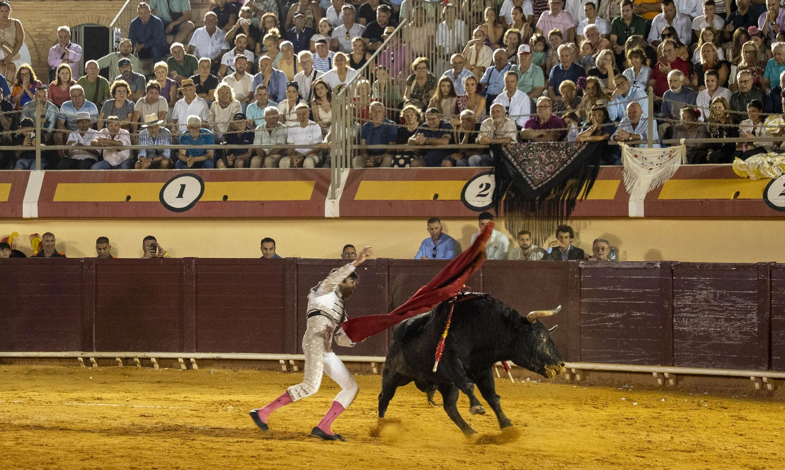 Las imágenes de los toros en Vera