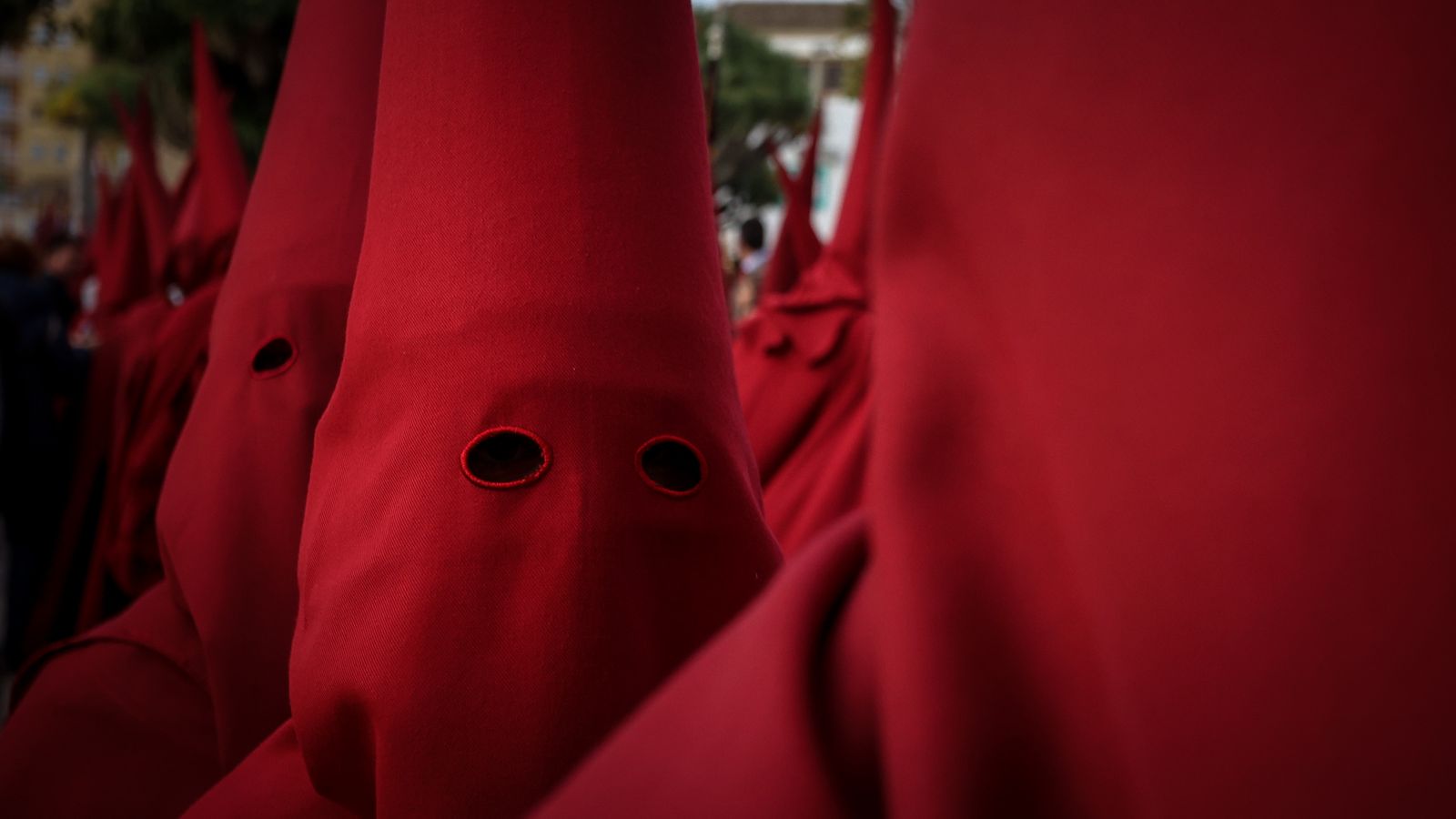 La Hermandad de Salvación de Jerez, en imágenes