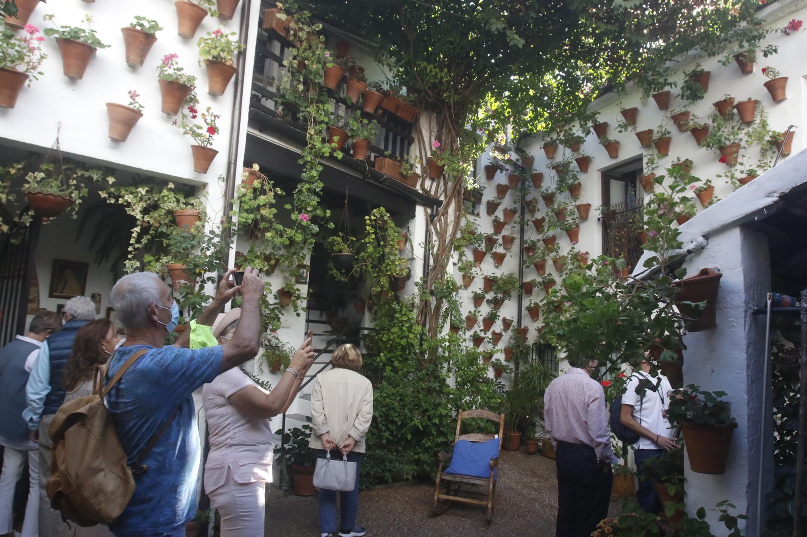 Los Patios en otoño, en fotografías