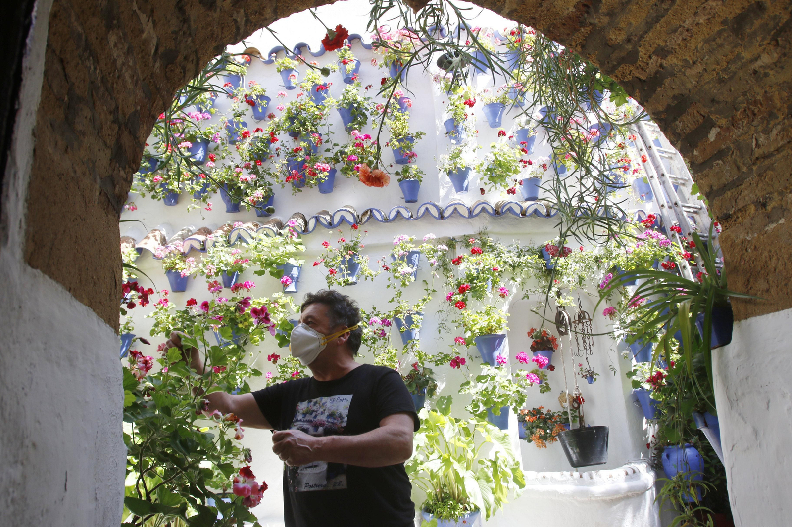 Las fotos de los Patios de Córdoba en tiempos de crisis: Postrera, 28
