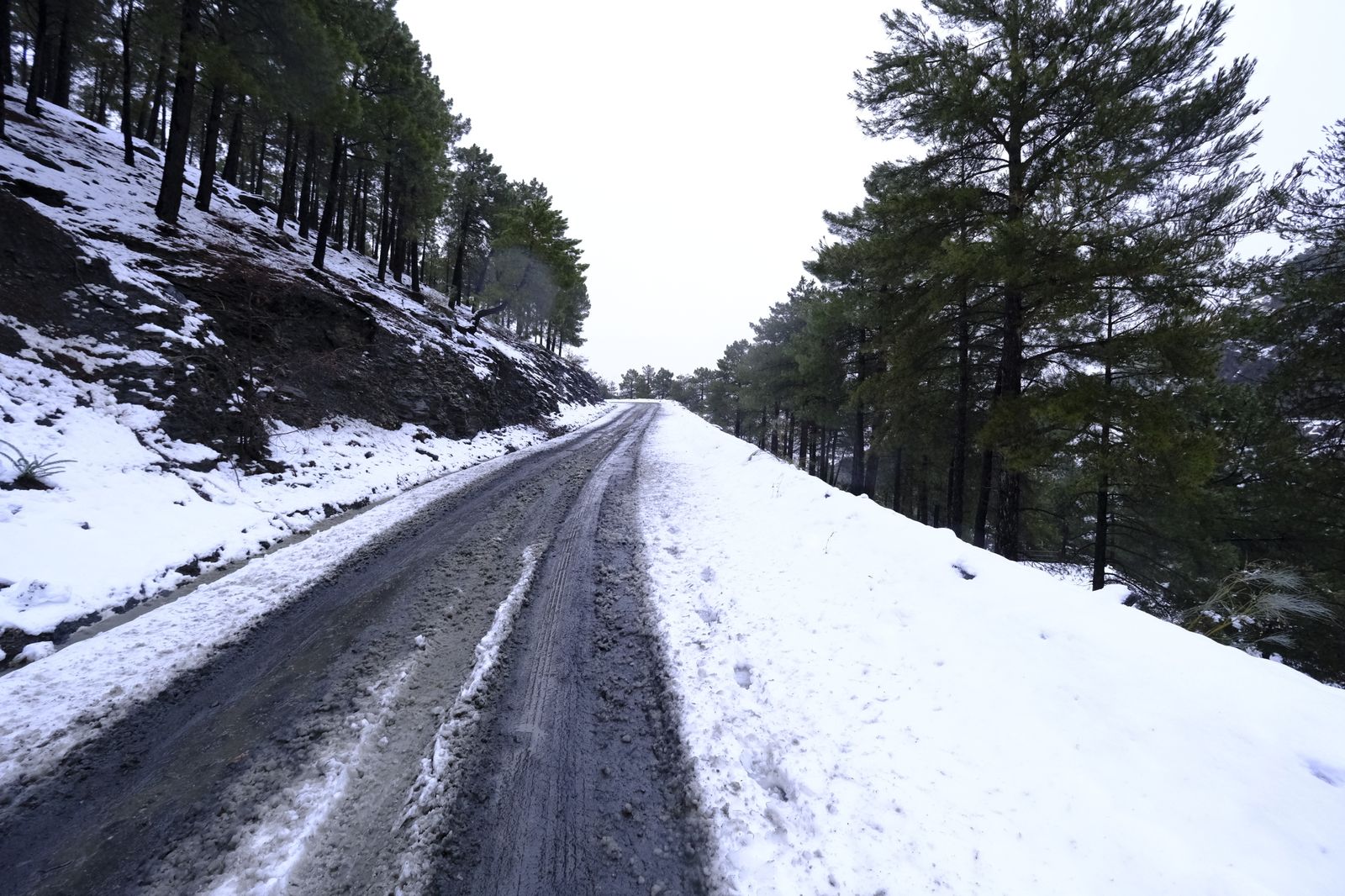 Fotogalería nevada en la Provincia de Almería