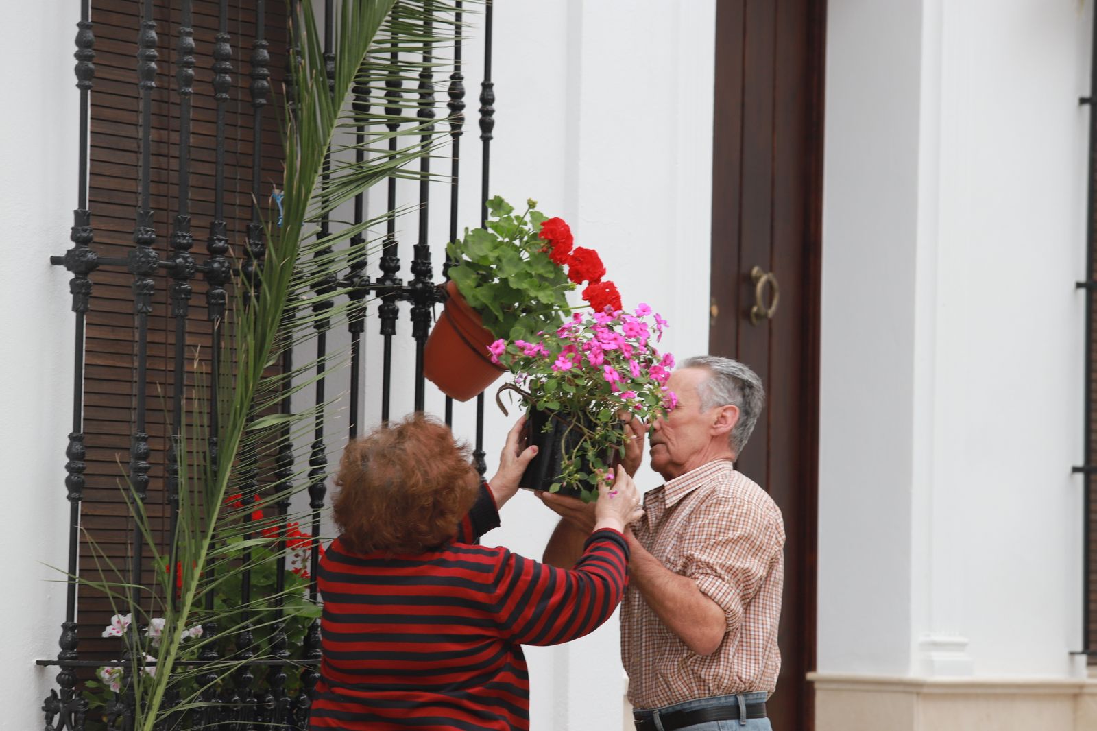 Imágenes de la jornada especial vivida en Almonte sin la procesión de la Virgen del Rocío