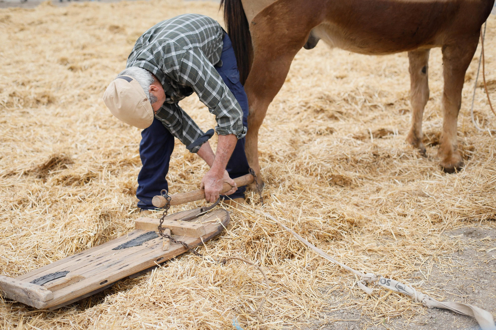 Galería de la Feria  de ganado en Tarambana