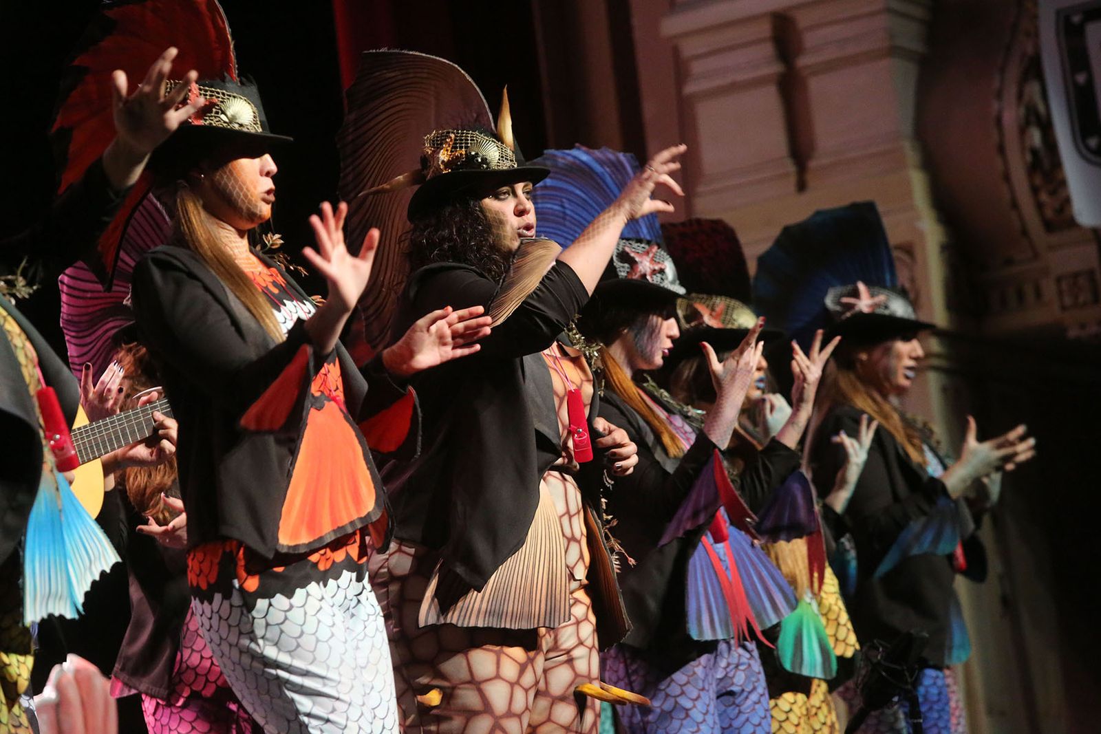 Quinto día de preliminares del Carnaval Colombino en imágenes