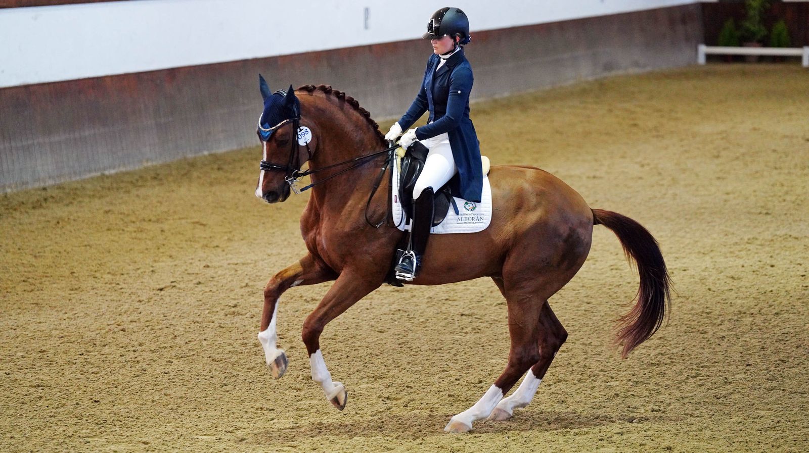 Concurso de Doma Clásica internacional en la Real escuela de Jerez