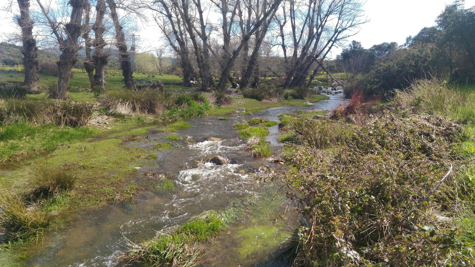 Fotos de la ruta circular de El Real de la Jara