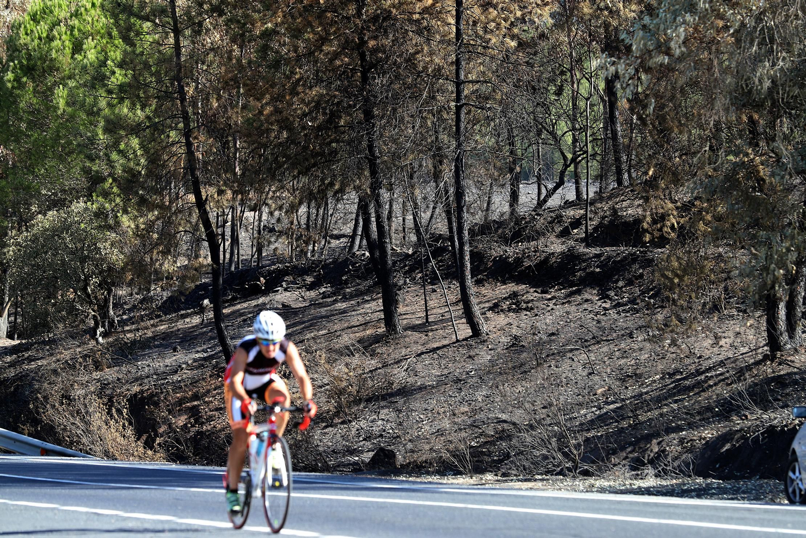 Imágenes de las zonas devastadas por el incendio de Almonaster la Real