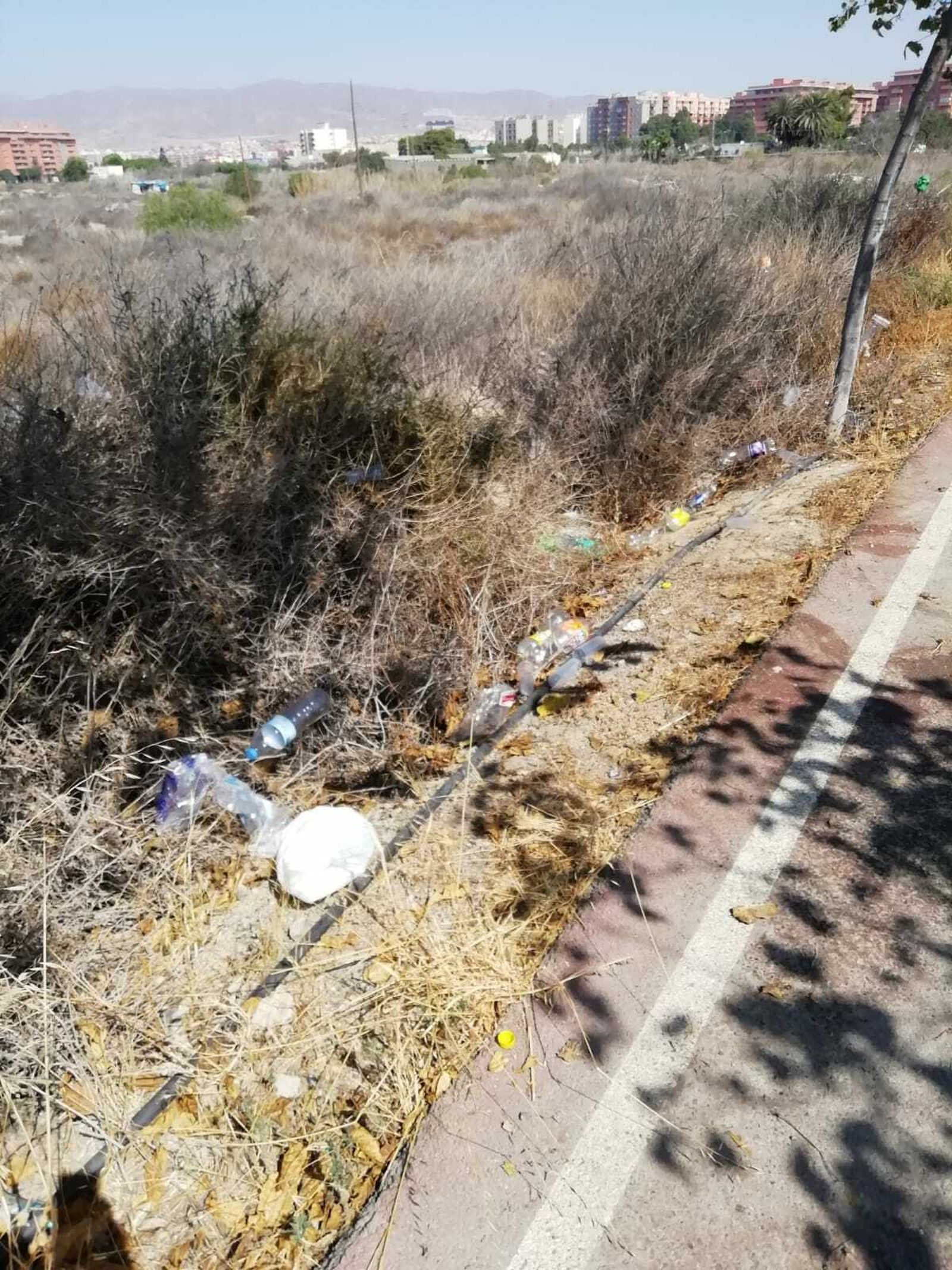 La botellas de plástico y cristal se acumulan en los laterales del carril, suponiendo un riesgo para el medio ambiente.