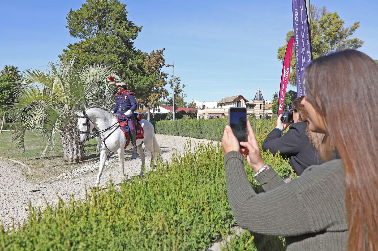 XVII Campeonato de Andalucía de Doma de Alta Escuela