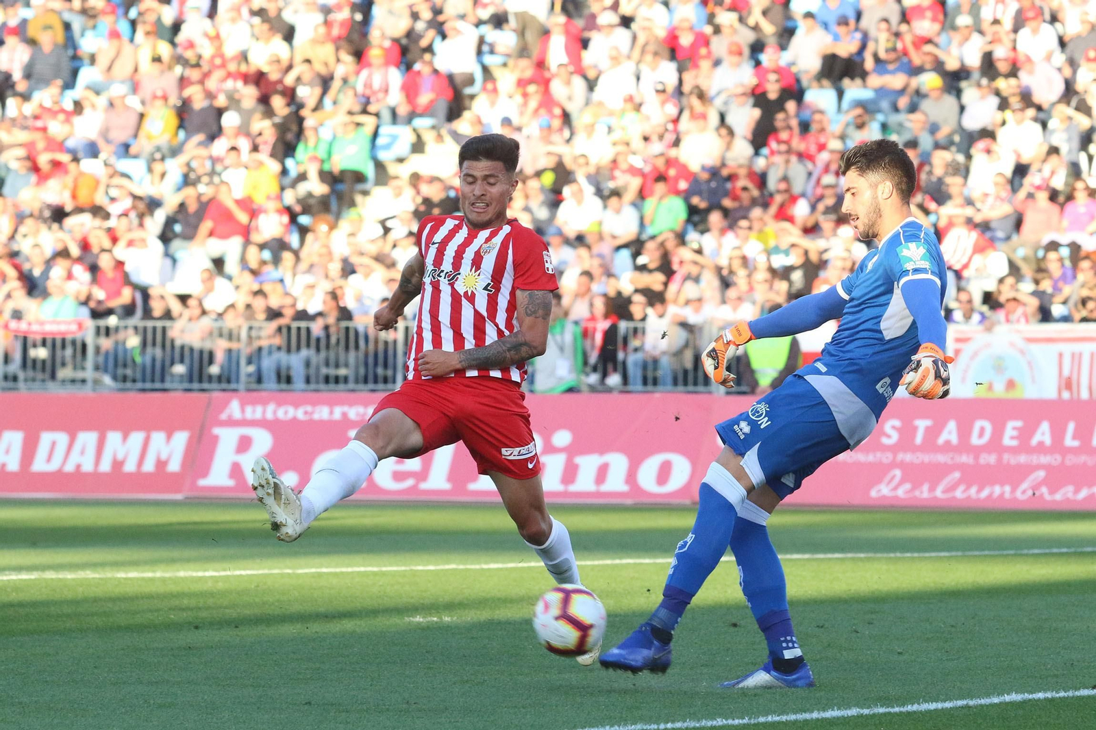 Fotogalería del Almería-Granada