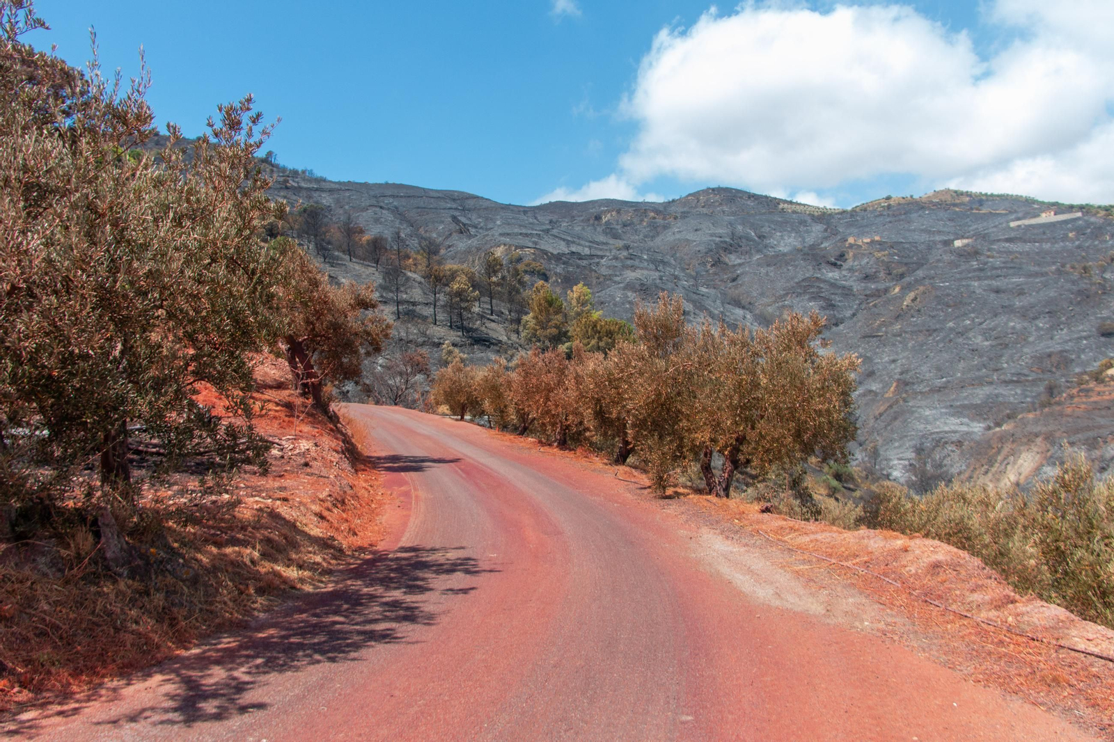 Día después del incendio forestal que desde este martes afecta al paraje de Peña Escrita de Almuñécar