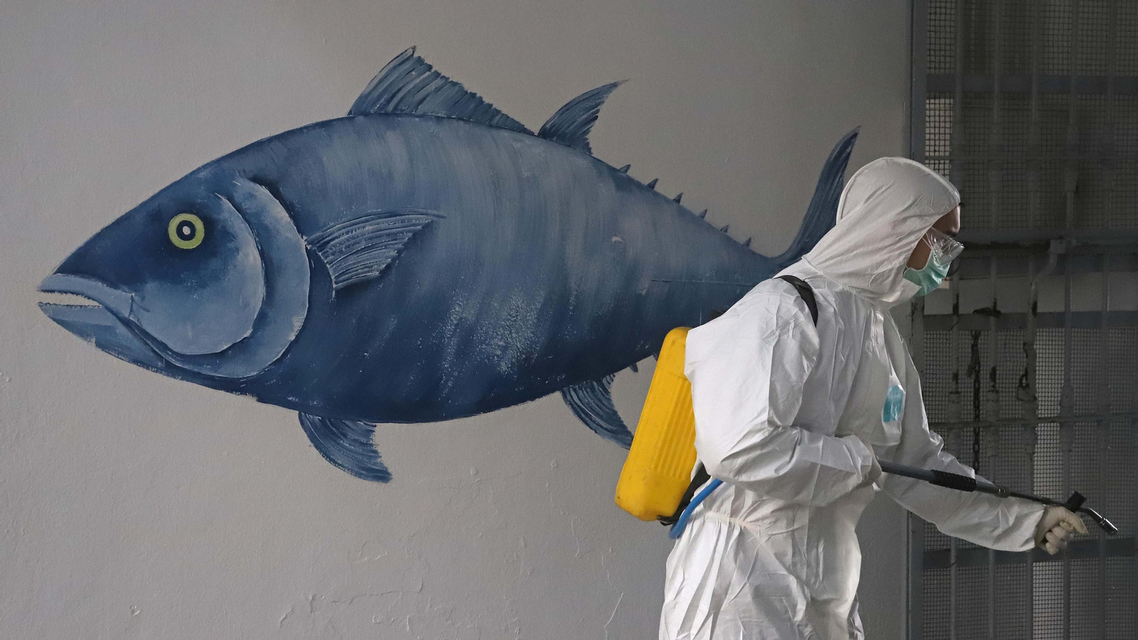 2 años de pandemia en el Campo de Gibraltar