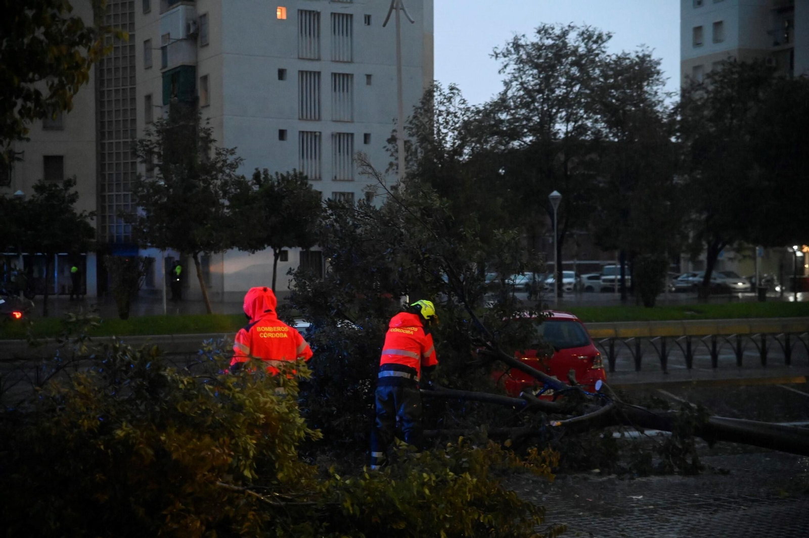 Los bomberos trabajan en la retirada de dos árboles caídos en la avenida de Cádiz.