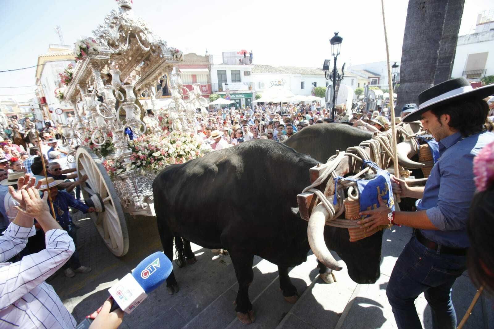 El paso de las hermandades del Rocío por Villamanrique, en imágenes