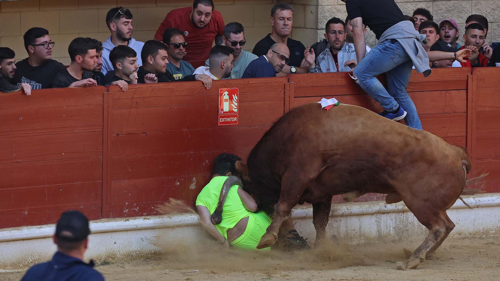 XLI Toro embolao de Los Barrios. Esparraguero, el primer toro de la jornada, embiste a uno de los participantes en la plaza de toros La Montera. XLI Toro embolao de Los Barrios. Esparraguero, el primer toro de la jornada, embiste a uno de los participantes en la plaza de toros La Montera.