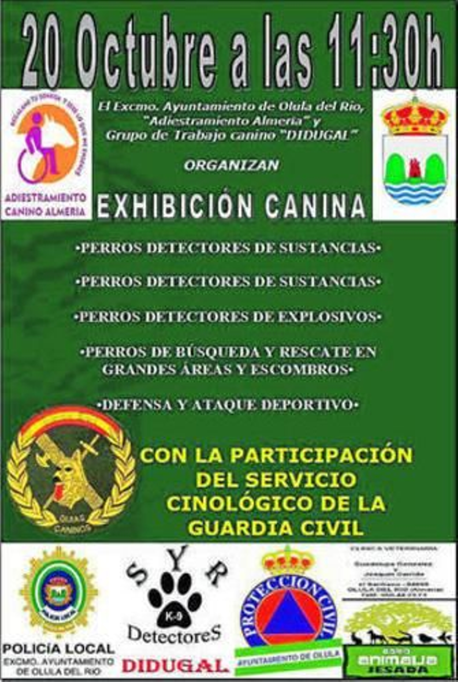 Cartel de la actividad.