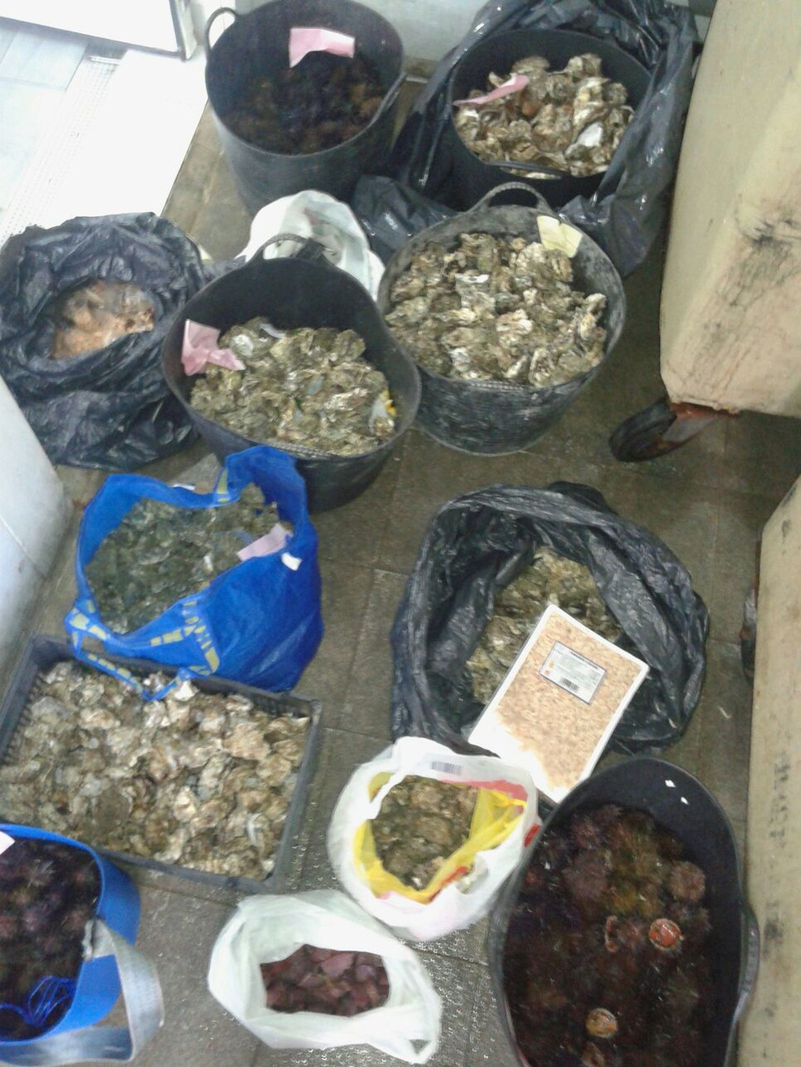 Parte del material intervenido por la Policía.