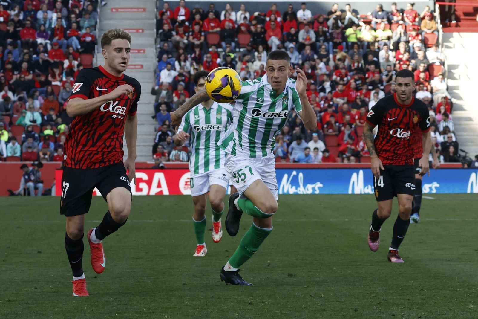 Sergio Arribas, en el Mallorca-Betis de la temporada pasada.