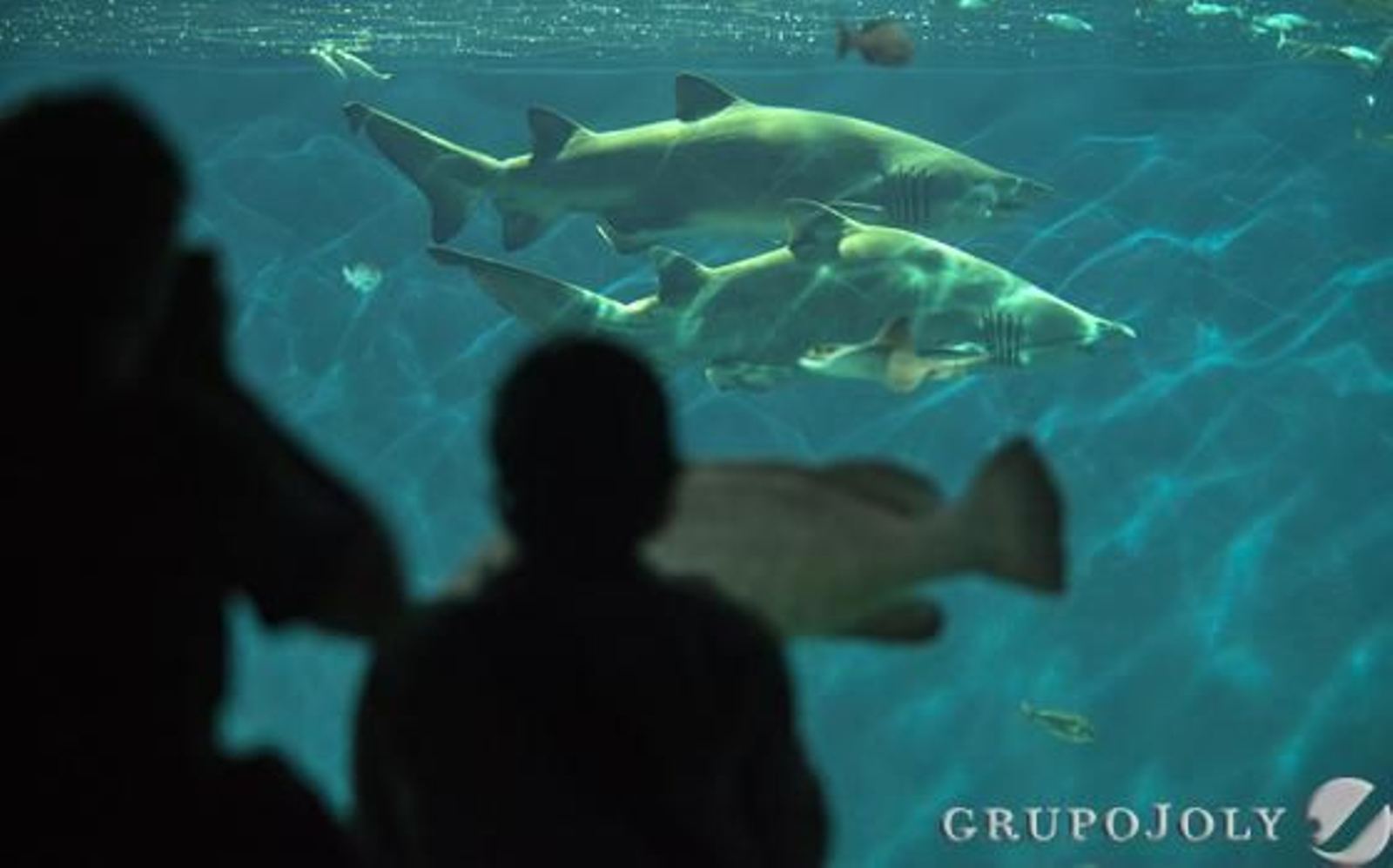 Foto: Antonio Pizarro