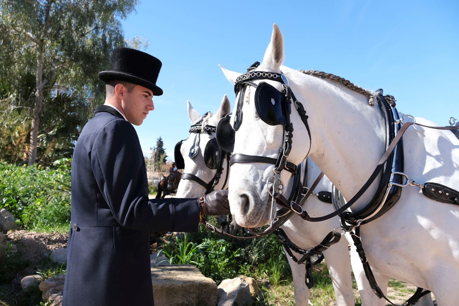 La XV marcha hípica por el Día de Andalucía en Córdoba, en imágenes