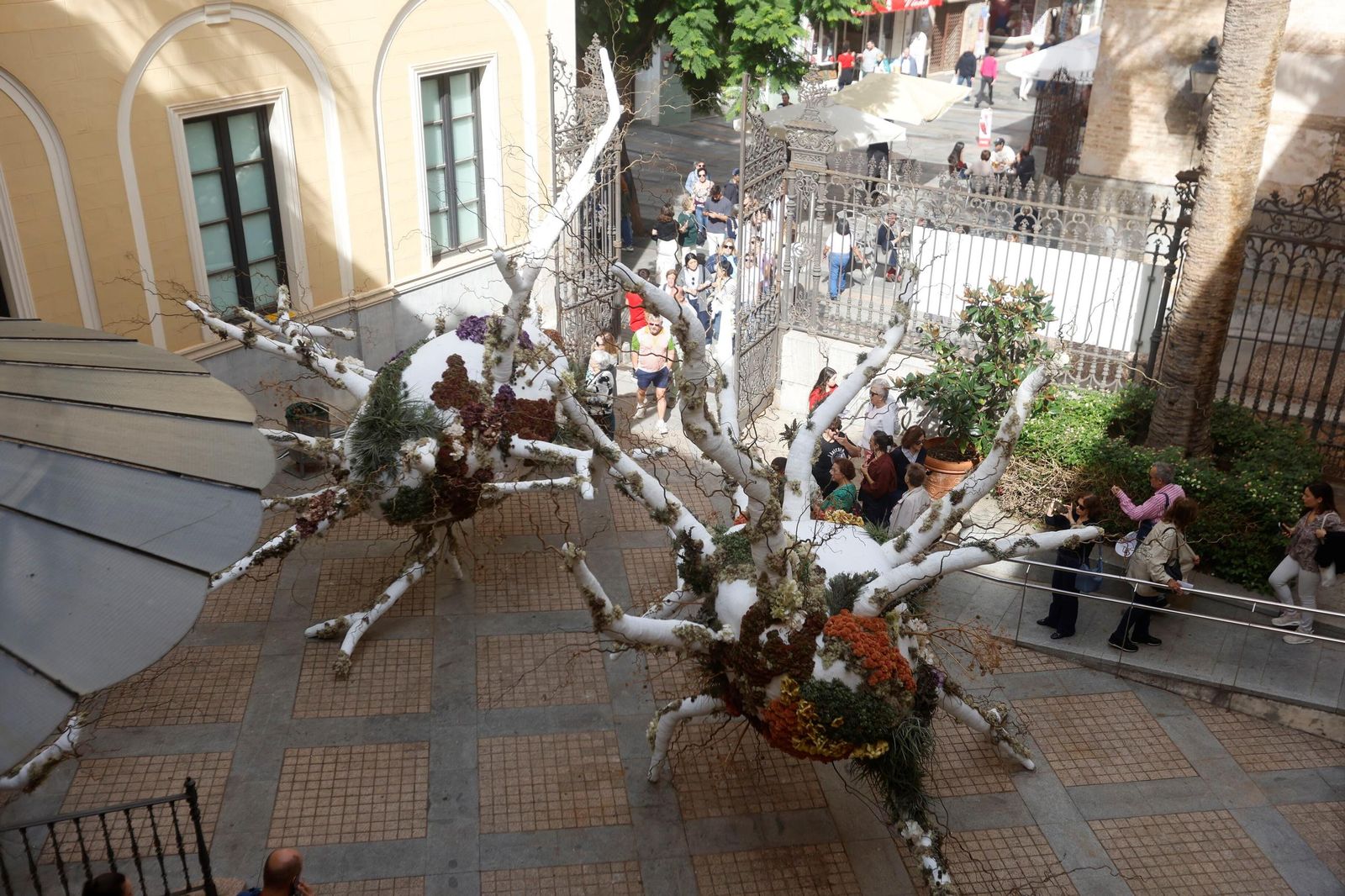 Las últimas horas para visitar las instalaciones de Flora en Córdoba, en imágenes