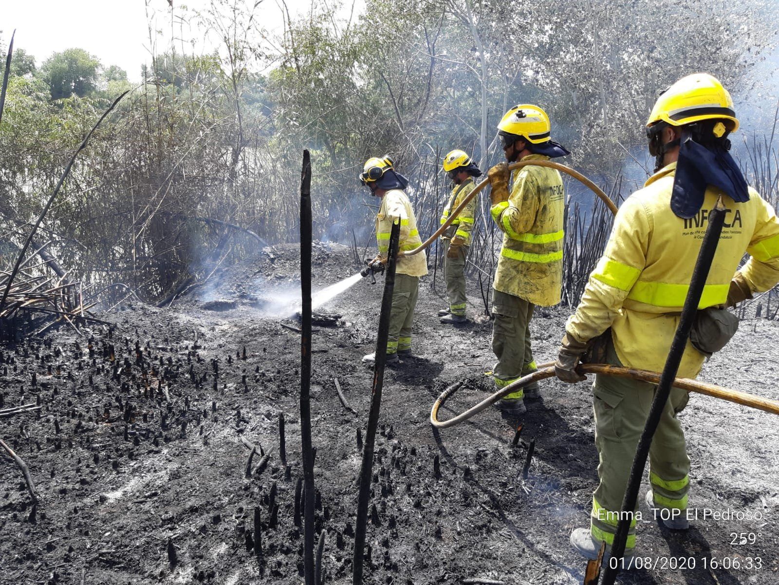 Bomberos del Infoca en el incendio declarado en la ribera del Guadalquivir, en La Rinconada.