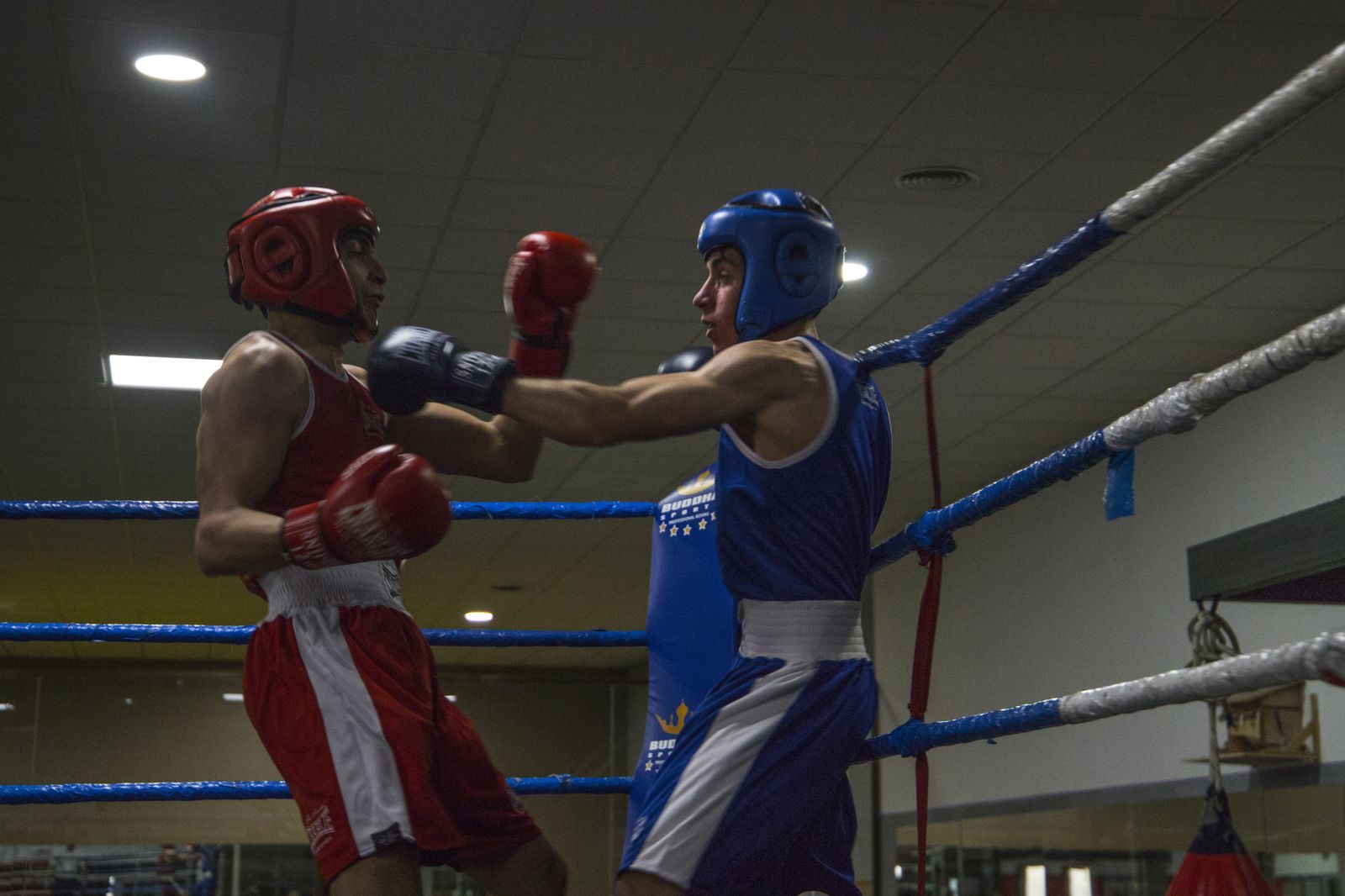 La cantera del boxeo granadino se luce en Armilla