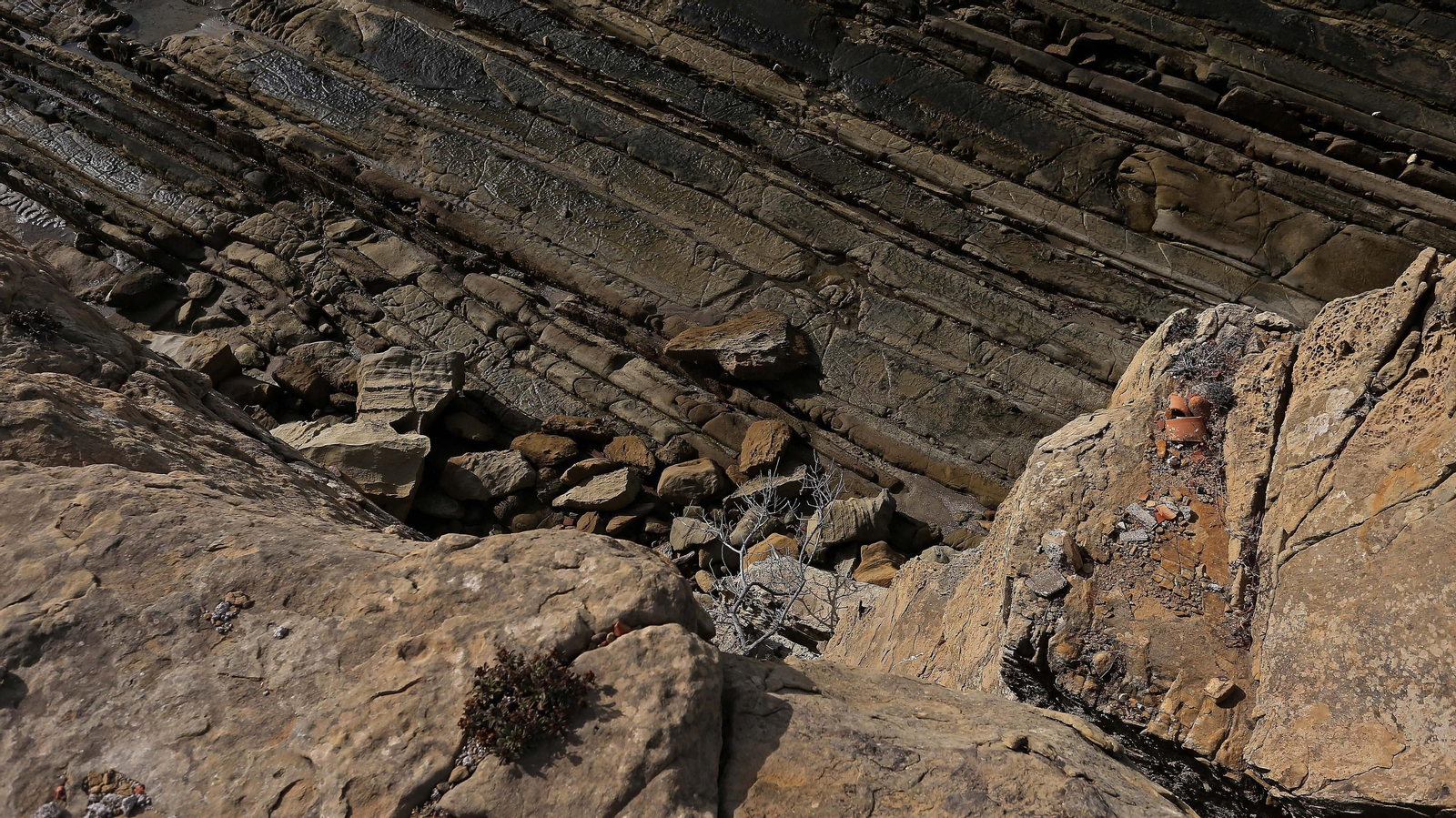 Las mejores fotos del sendero de la Colada de la Costa en Tarifa