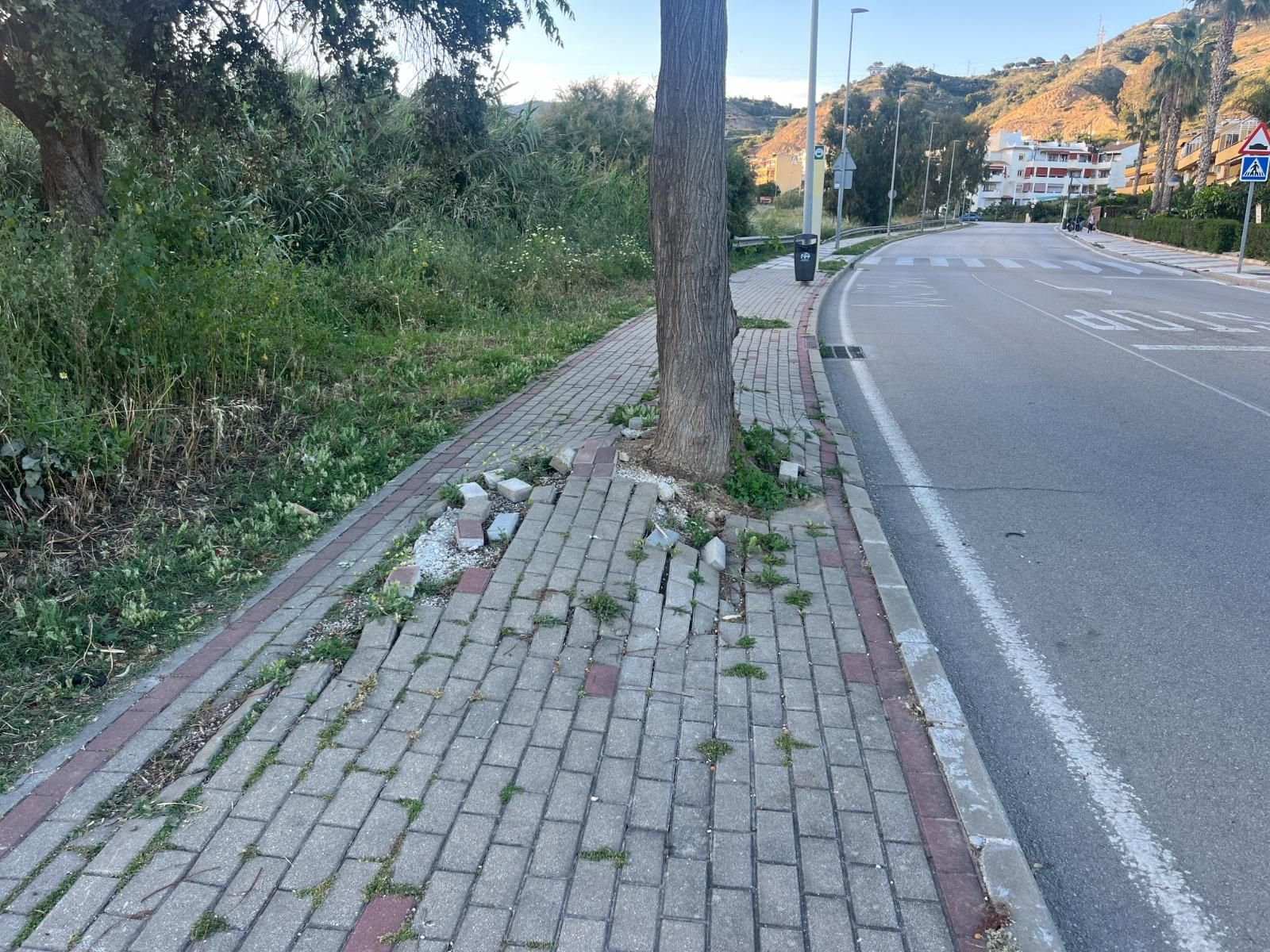 Zona donde se realizarán los trabajos.