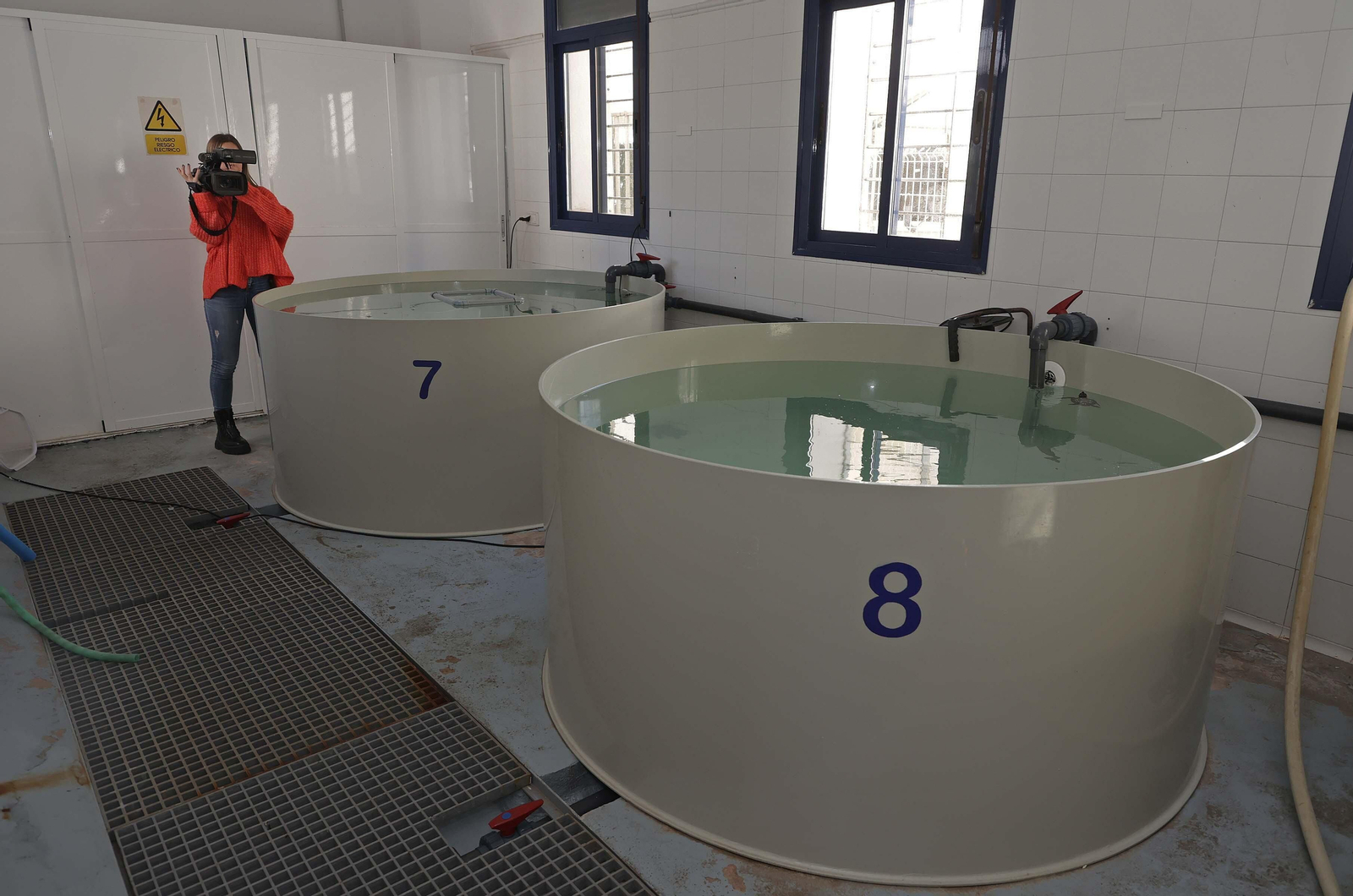 El Centro de Gestión del Medio Marino Andaluz (CEGMA) de Algeciras, en imágenes