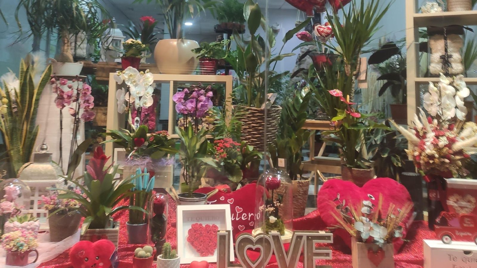 Escaparate de la Floristería Jaén listo para San Valentín.