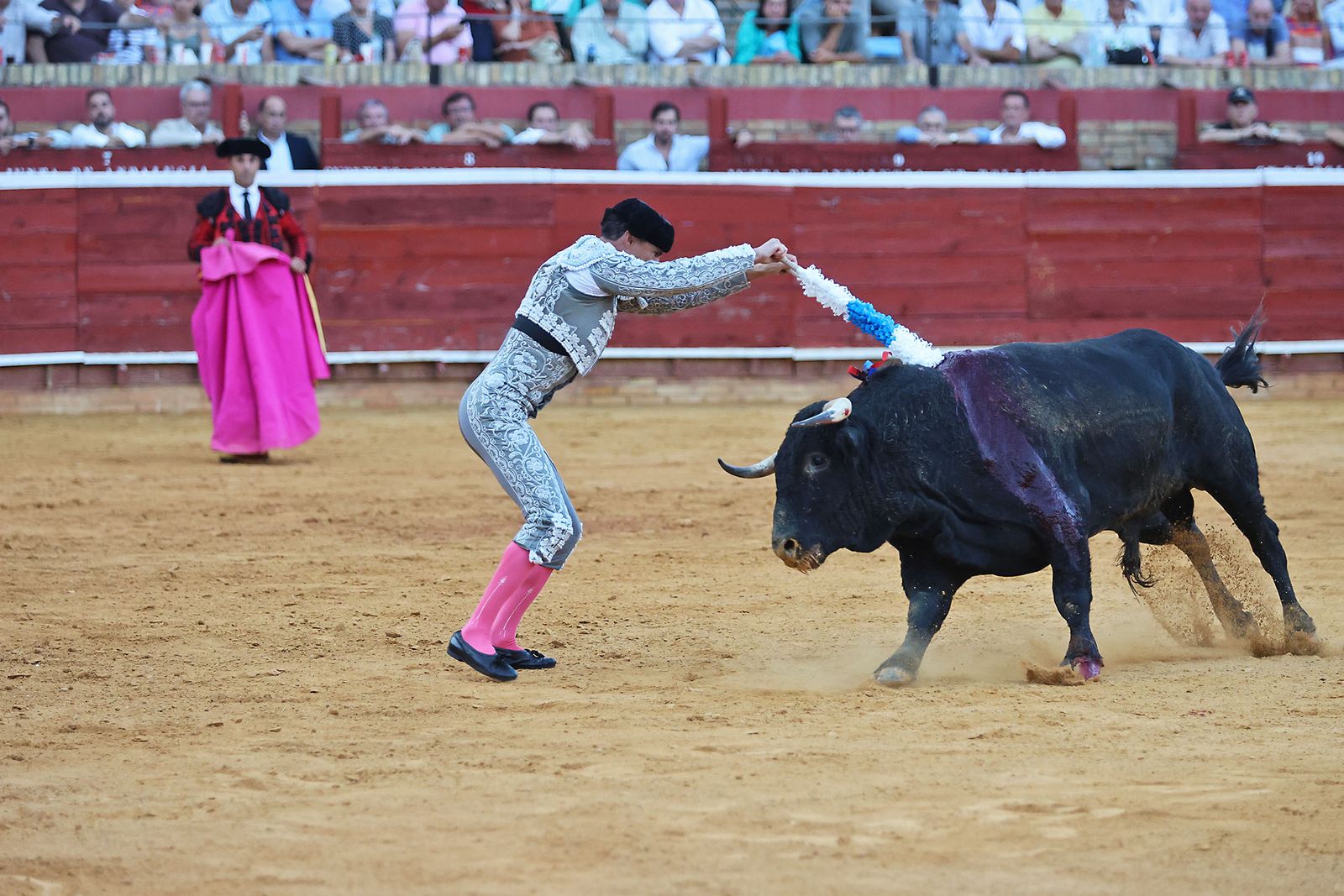 Toros La Merced 2024 Novillada con picadores(