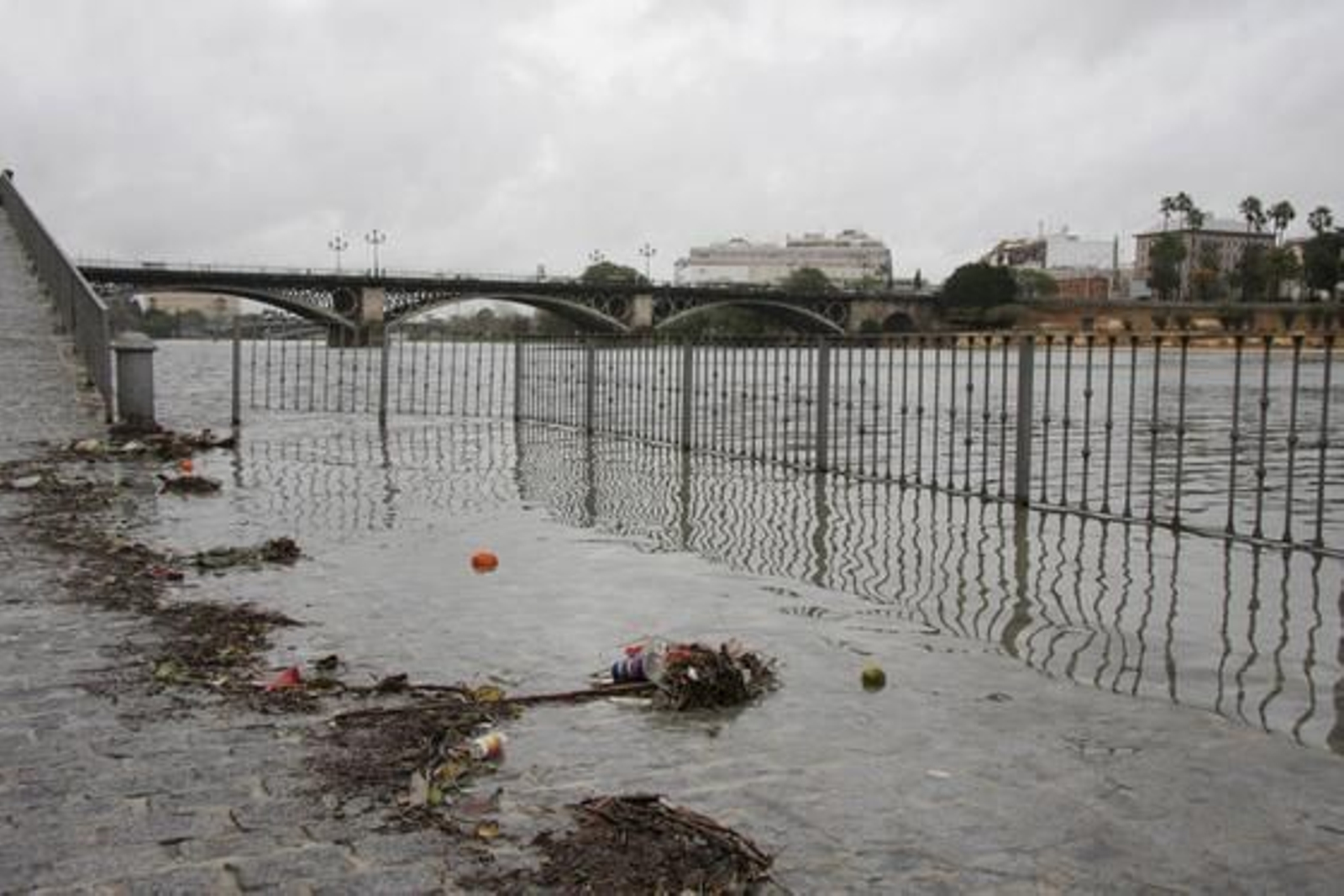 El agua del Guadalquivir cubre las zonas más bajas del embarcadero de la calle Betis en Triana.

Foto: B.Vargas