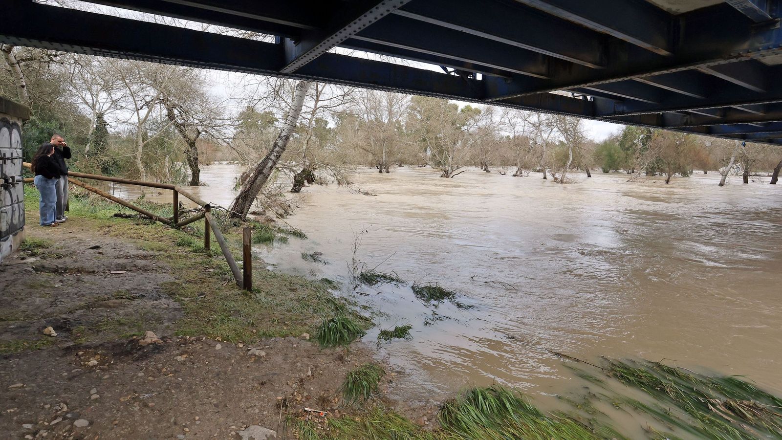 El Guadalete comienza a bajar su nivel poco a poco por la zona rural de Jerez