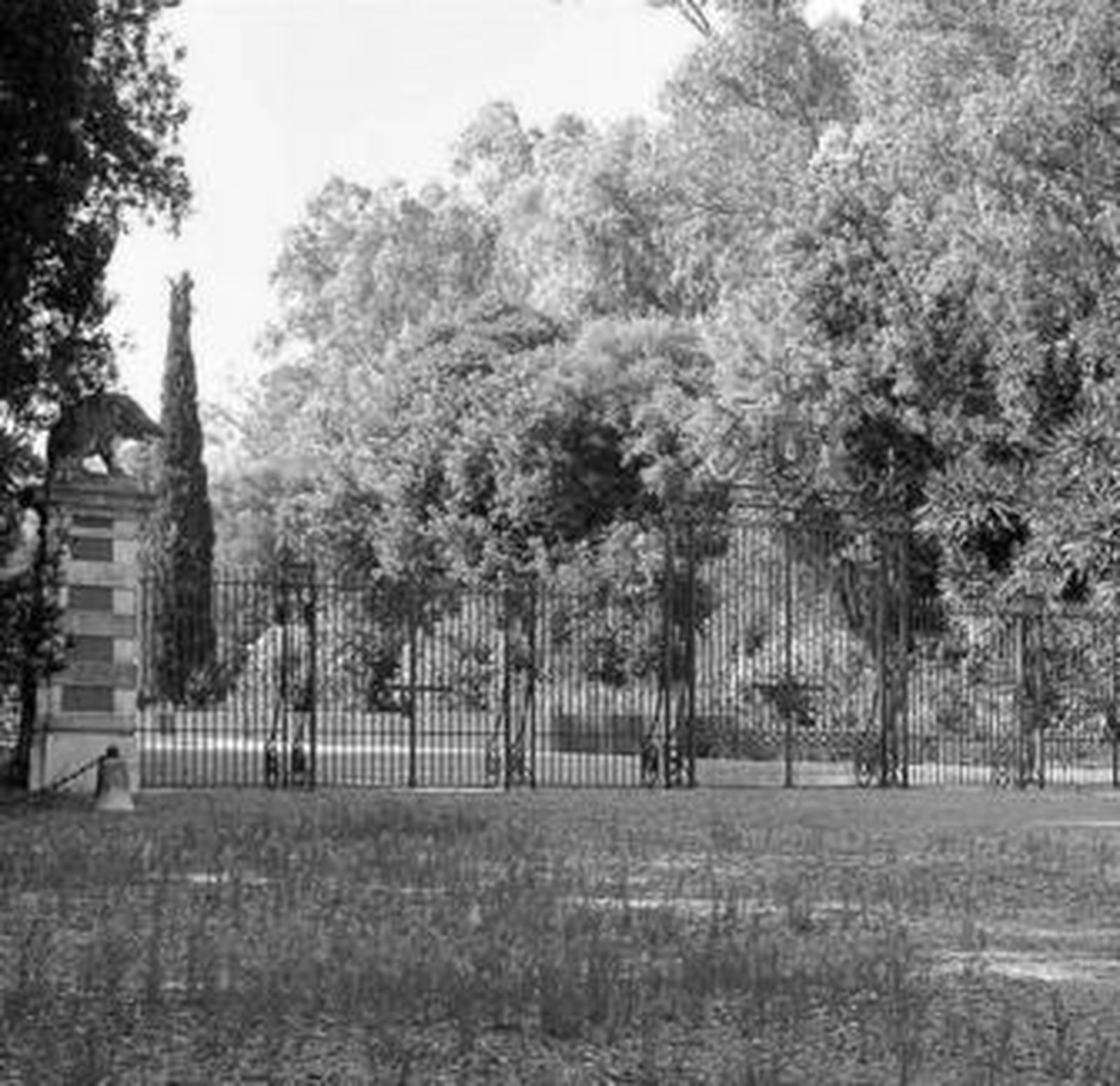 Imponente cancela de entrada al Palacio de Moratalla, con sus jardines versallescos al fondo.